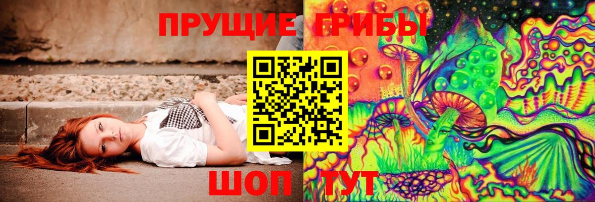 Ялуторовск  Псилоцибиновые грибы Psilocybine cubensis  Вход с VPN 