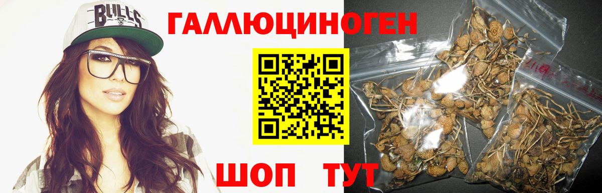 Галлюциногенные грибы прущие грибы Ялуторовск